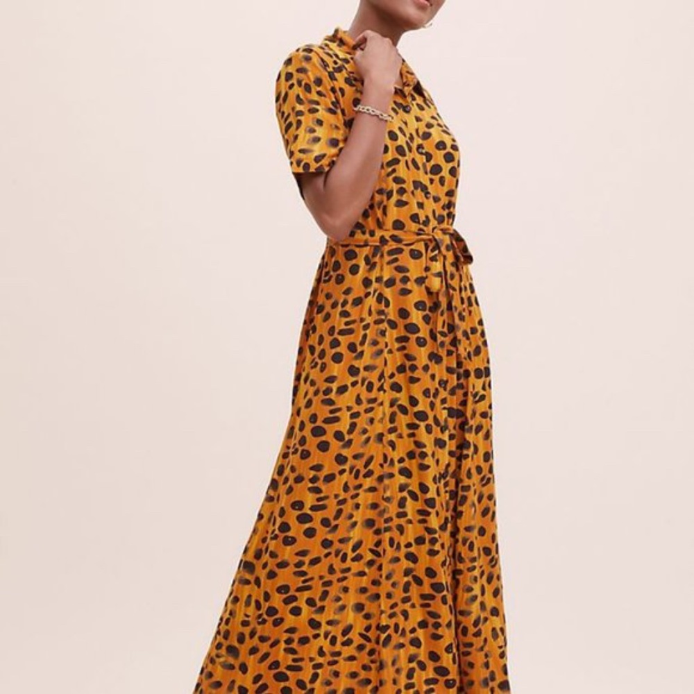 Anthropologie Vianne Maxi Shirtdress x Porridge